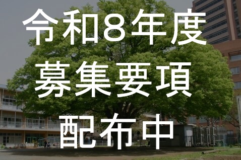 image (4)